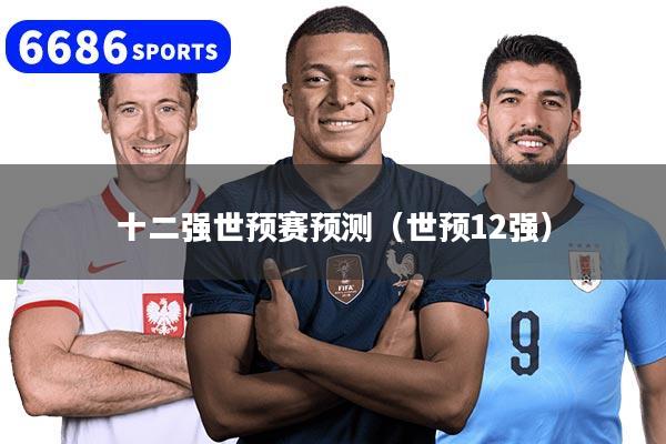 十二强世预赛预测（世预12强）