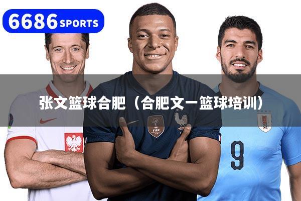 张文篮球合肥(合肥文一篮球培训)