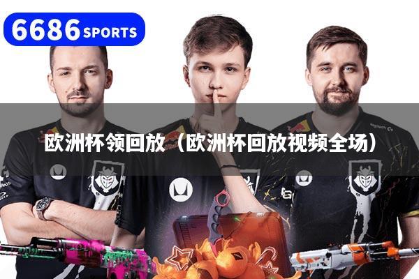 欧洲杯领回放（欧洲杯回放视频全场）