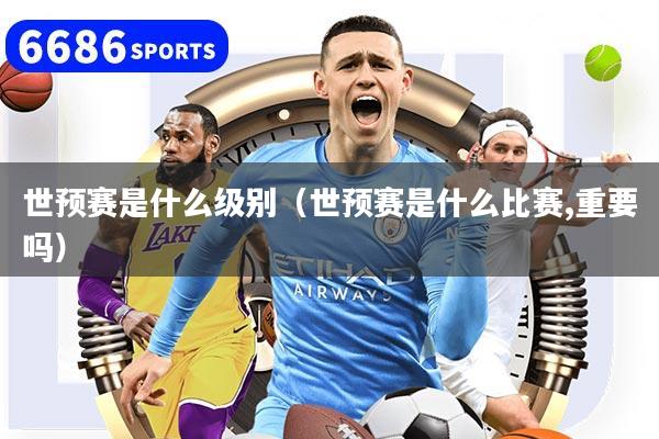 世预赛是什么级别（世预赛是什么比赛,重要吗）