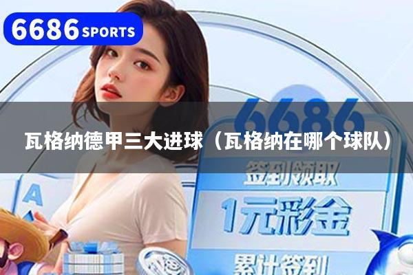 瓦格纳德甲三大进球（瓦格纳在哪个球队）